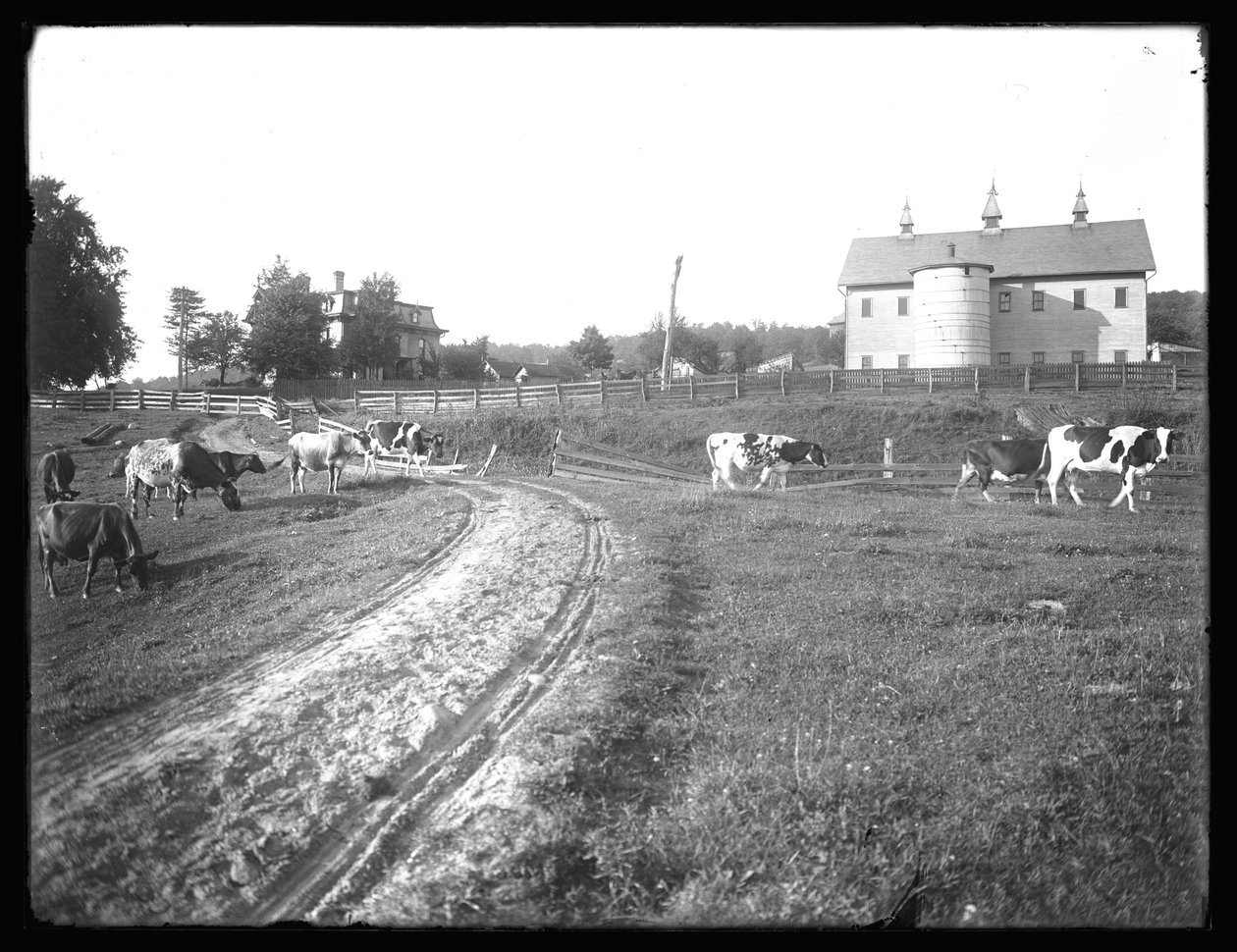 McCreadyn tilan lato ja Thomasin asunto, Pennsylvania, noin 1913. tekijältä William Davis Hassler
