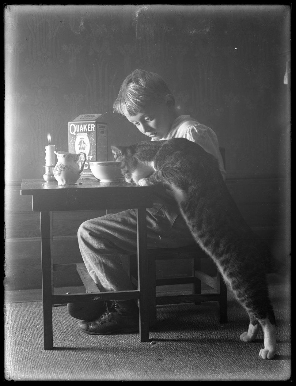 William Gray Hassler ja Reddy kissa syömässä Quaker-paisutettua riisimuroa, n. 1912 tekijältä William Davis Hassler