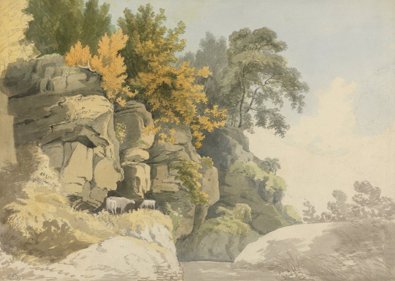 Wooded Rocks by a Stream (Derbyshire?) tekijältä William Day