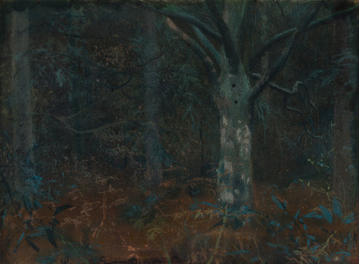 Vanha Sycamore tekijältä William Edward Stott