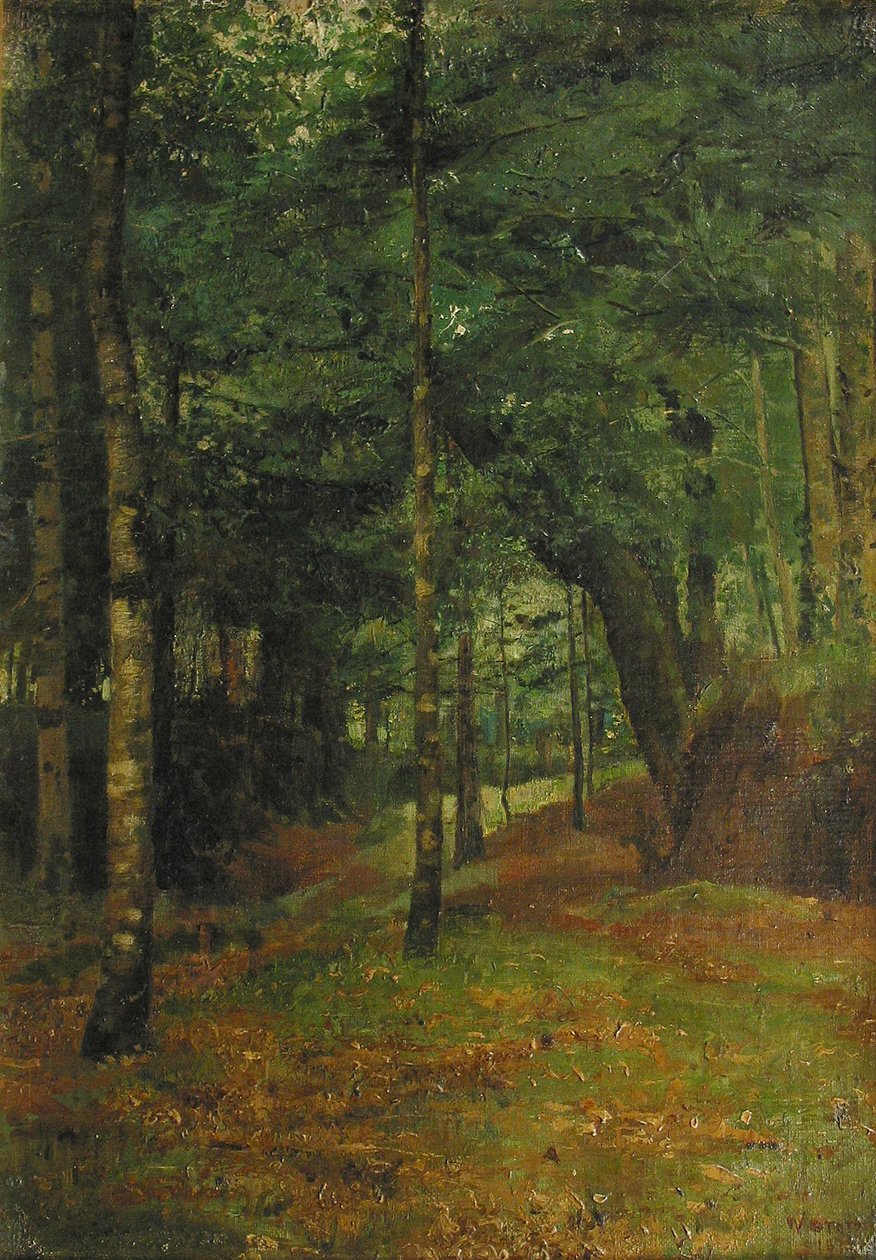 Tutkimus auringon paistamisesta puiden läpi, Concarneau tekijältä William Edward Stott