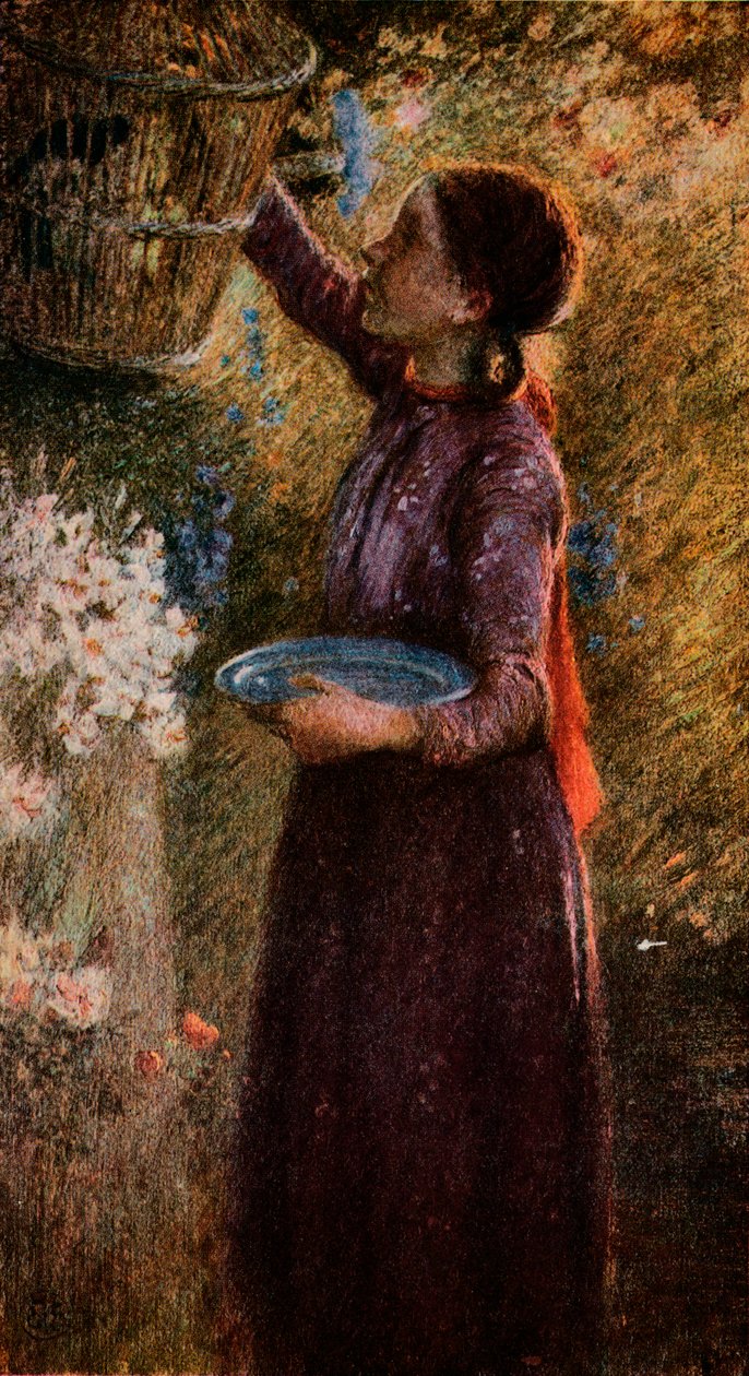 Lintuhäkki, c1900, 1918 tekijältä William Edward Stott