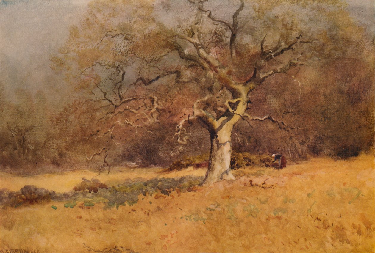 Winter Woods, 1916, 1938 tekijältä William Eyre Walker