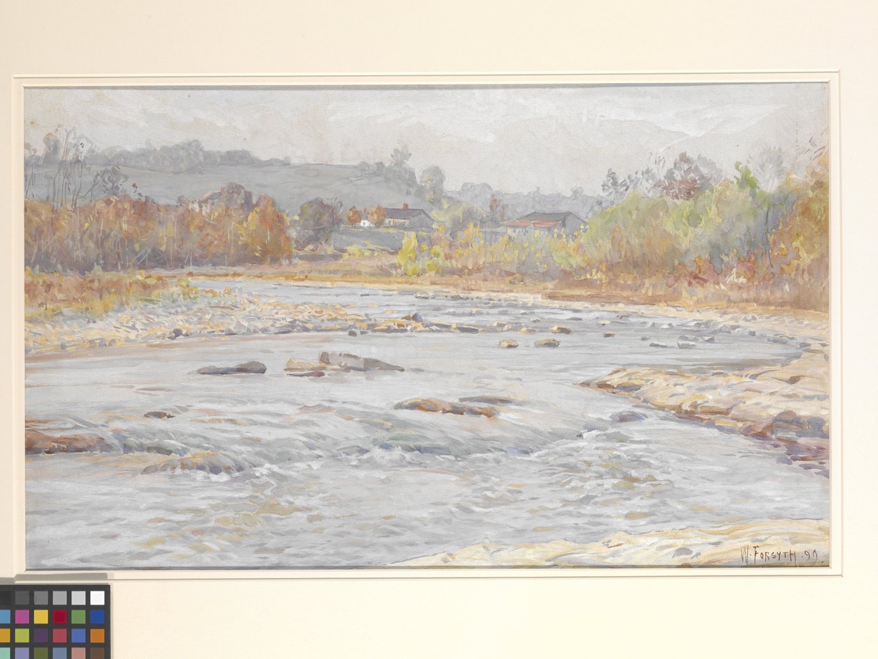 Whitewater Rapids (akvarelli luonnonvalkoiselle paperille) tekijältä William Forsyth