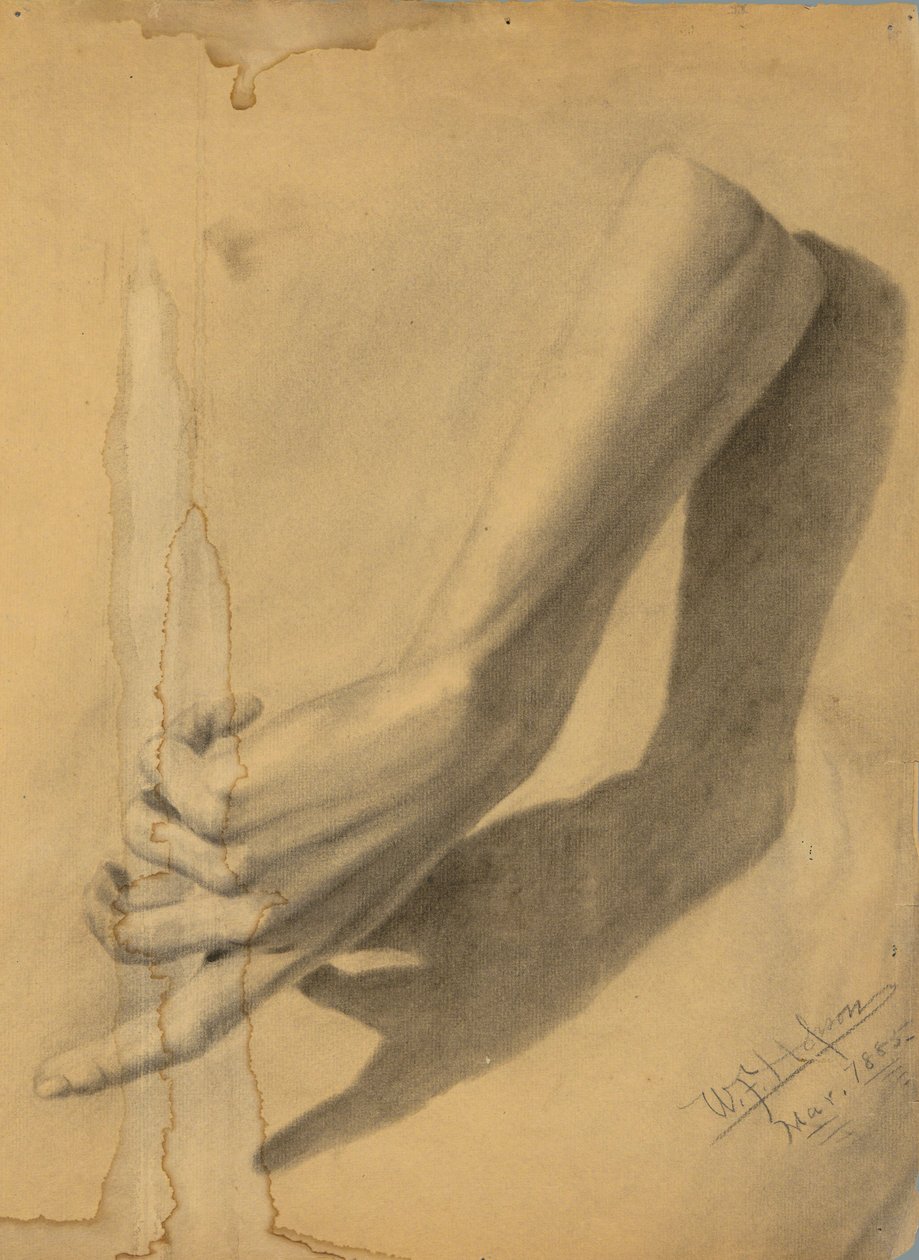 Akateeminen tutkimus tekijältä William Fowler Hopson