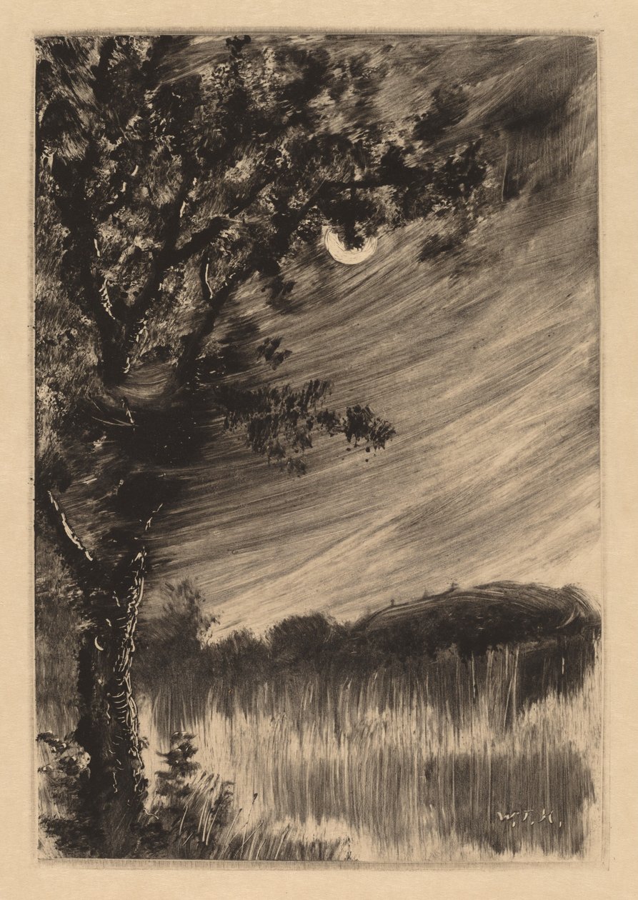 Kuutamoinen maisema puulla vasemmalla tekijältä William Fowler Hopson