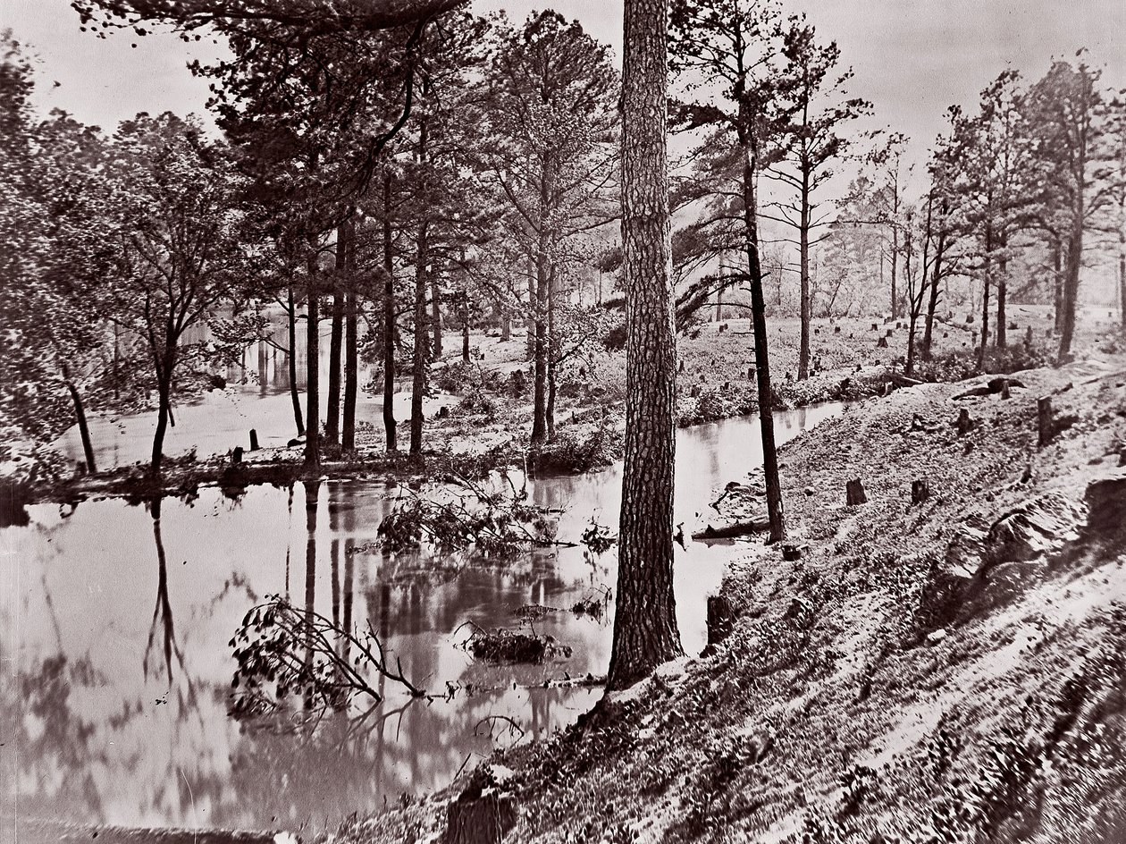 Broadway Landing, Appomattox River, 1864. tekijältä William Frank Browne
