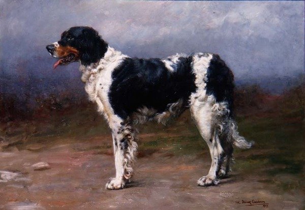 Gundog maisemassa tekijältä William Frank Calderon