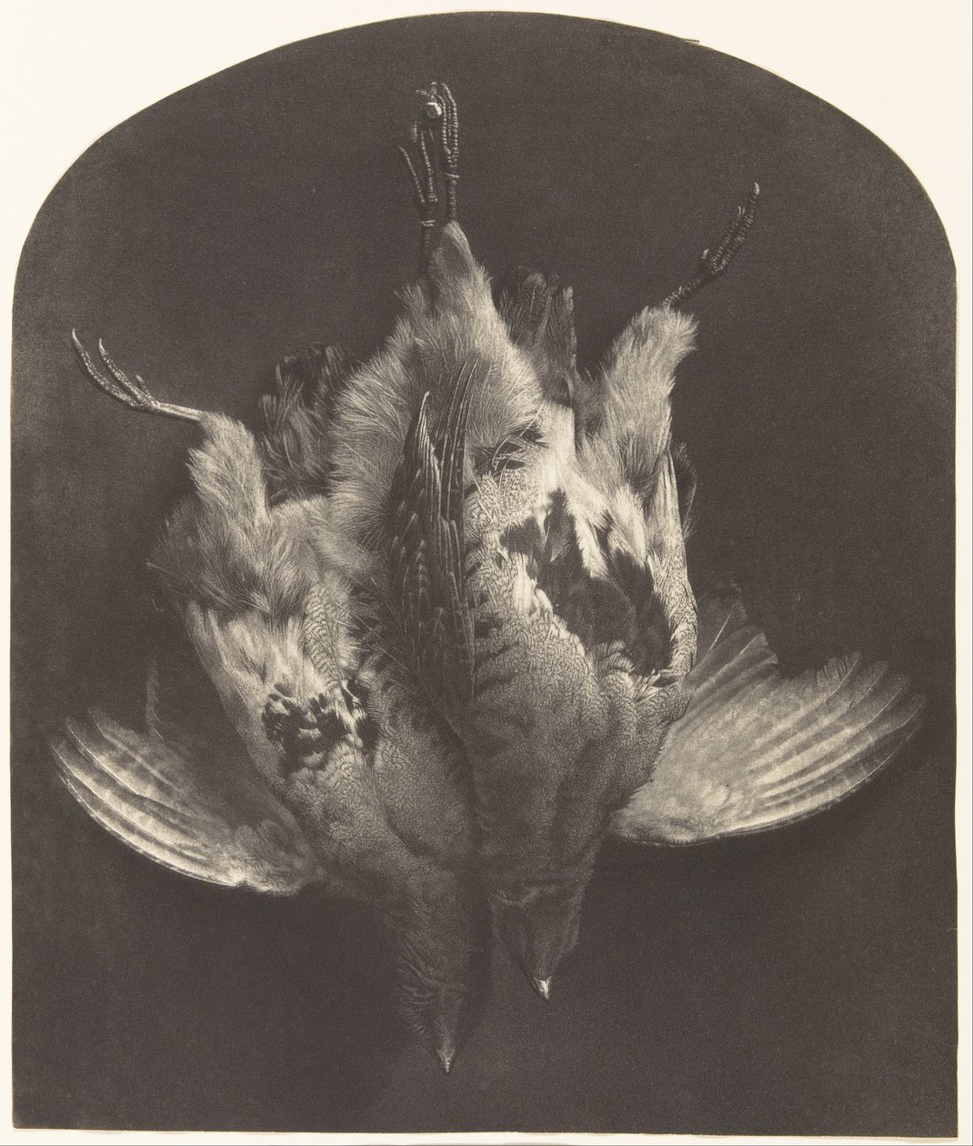 A Brace of Grouse tekijältä William Frederick Lake Price