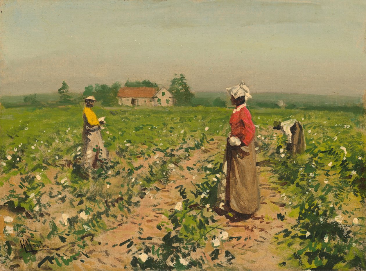 Puuvillan poiminta, c. 1890. tekijältä William Gilbert Gaul