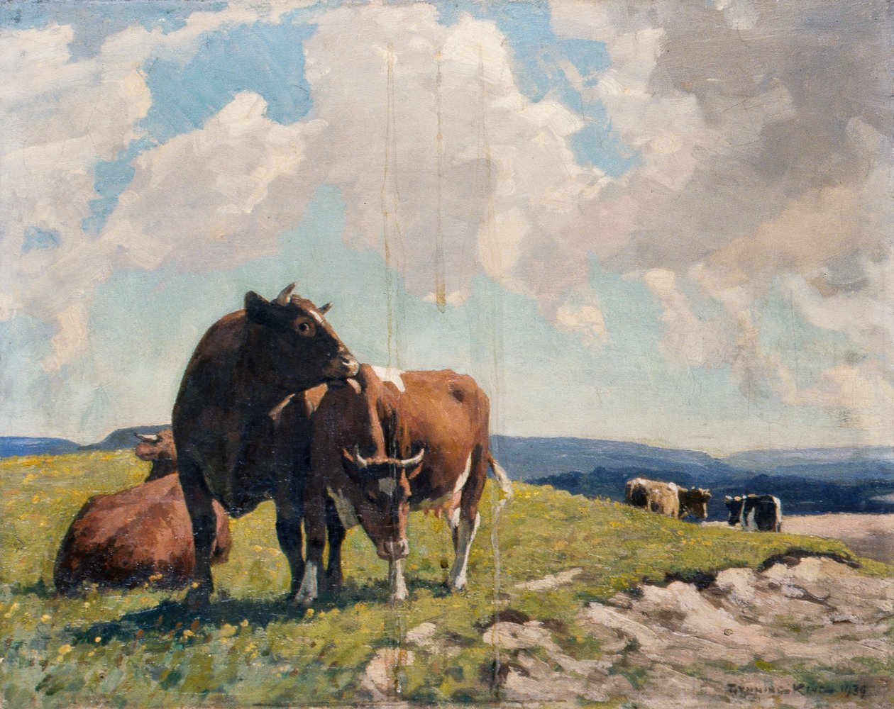 Downland tekijältä William Gunning King