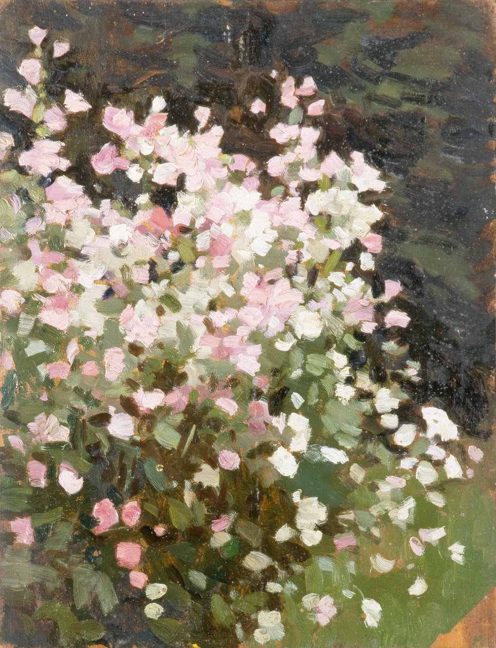 Vaaleanpunaisia kukkia, noin 1930 (öljy kankaalle) tekijältä William Gunning King
