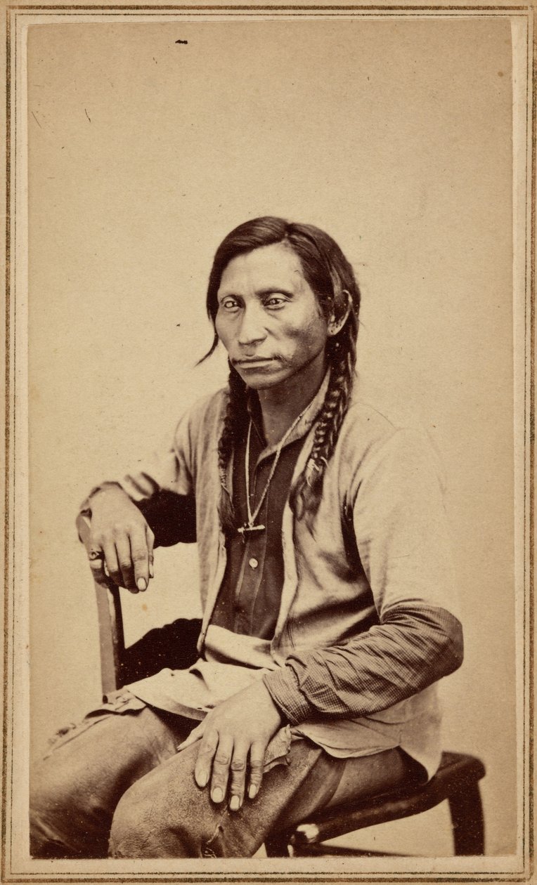 Harmaa susi,1860-luku (kuva) tekijältä William Gunnison Chamberlain