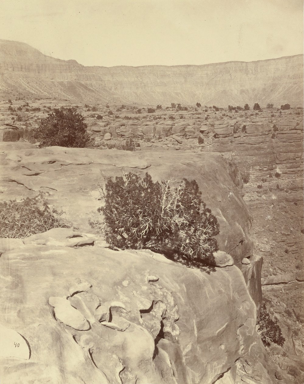 Plateau, Grand Canyonin pohjoispuolella tekijältä William H. Bell
