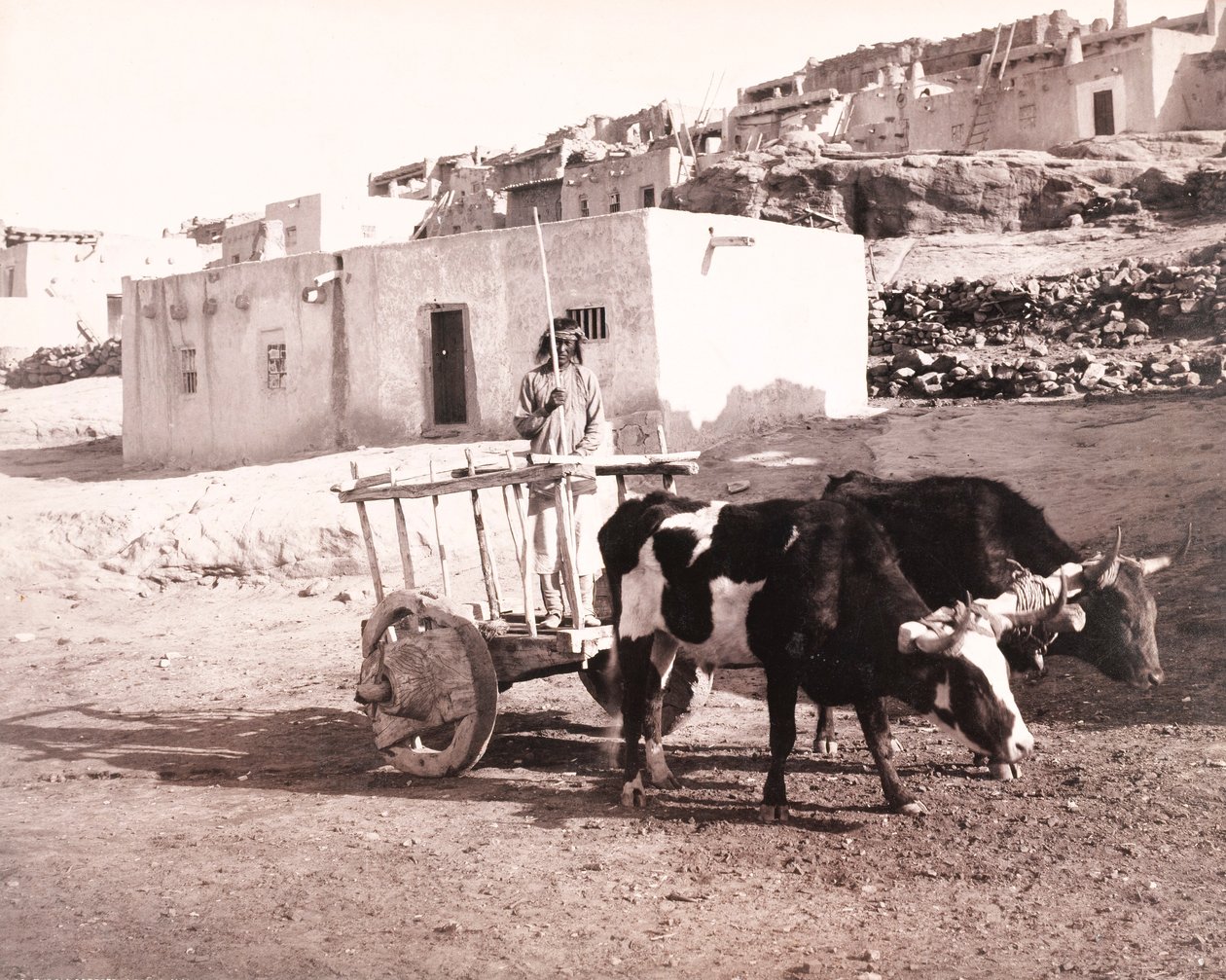 Vanha Carreta, Laguna, Uusi Meksiko tekijältä William H. Jackson