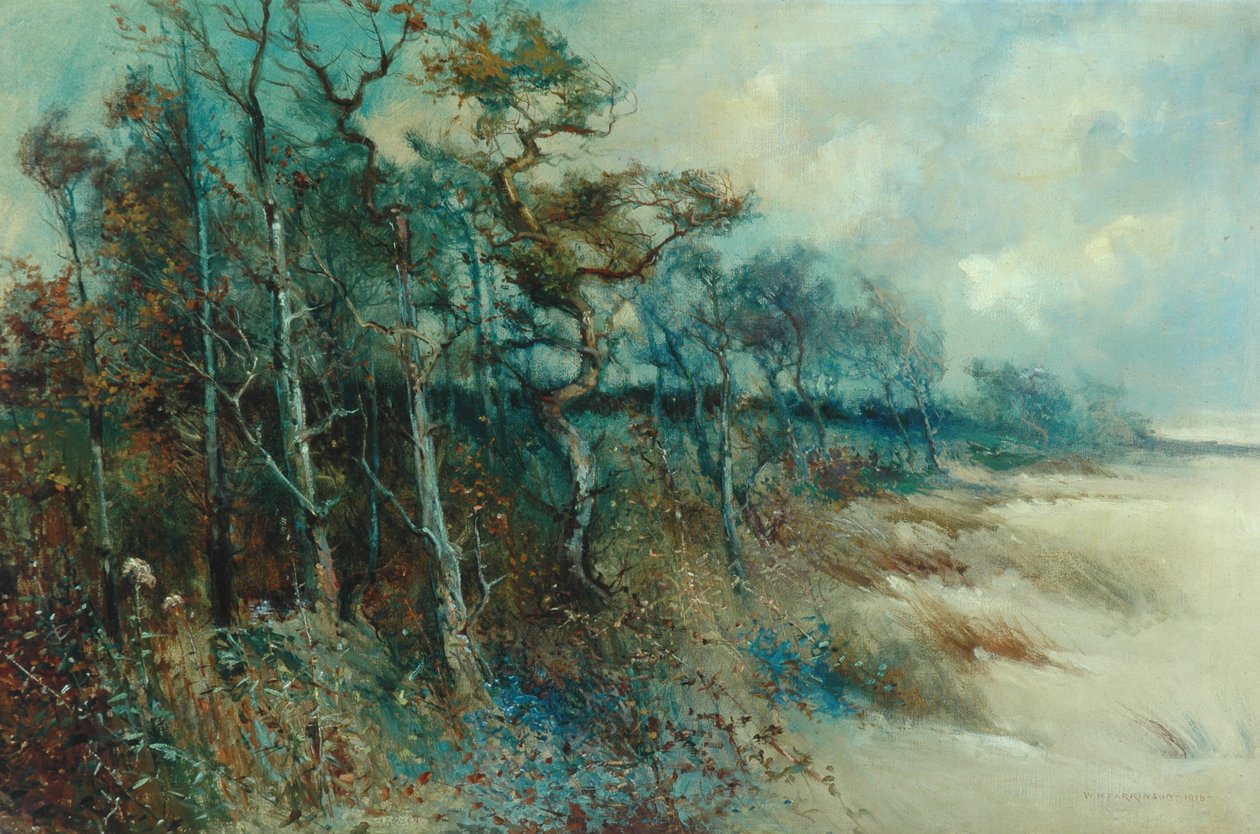 Puut hiekkaisessa maisemassa, Heysham, 1915 tekijältä William H. Parkinson