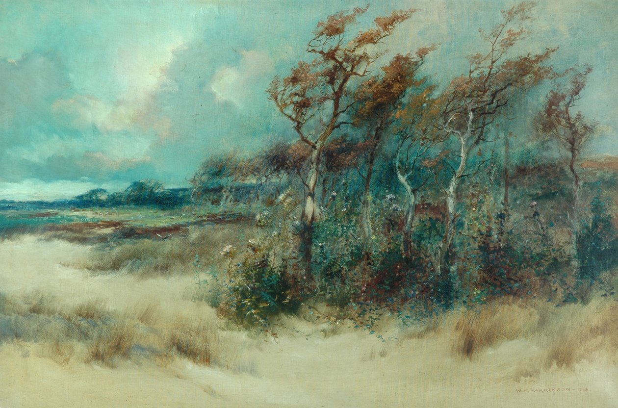Trees in a Sandy Lane, Heysham, 1916 tekijältä William H. Parkinson