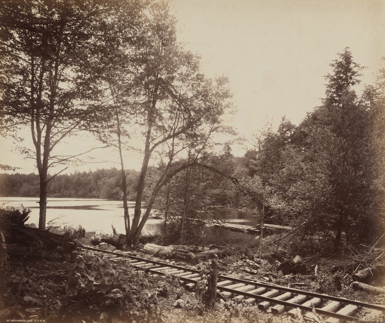 Beechwood Lake tekijältä William H. Rau