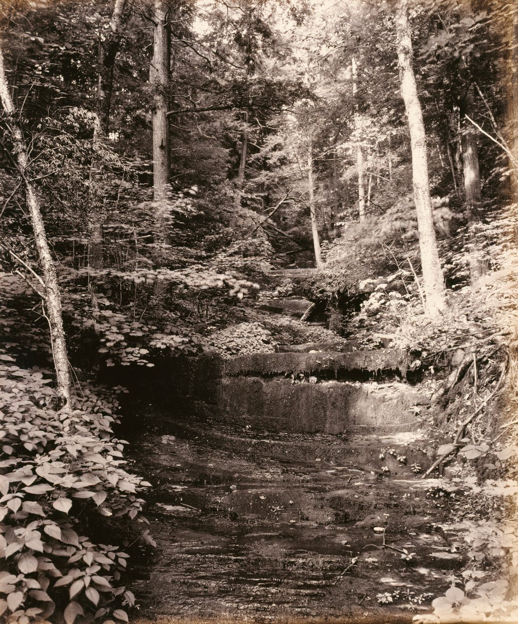 Owasco Lake, Cascade Glen, Lehigh Valley Railroad -rautatieyhtiölle tekijältä William H. Rau