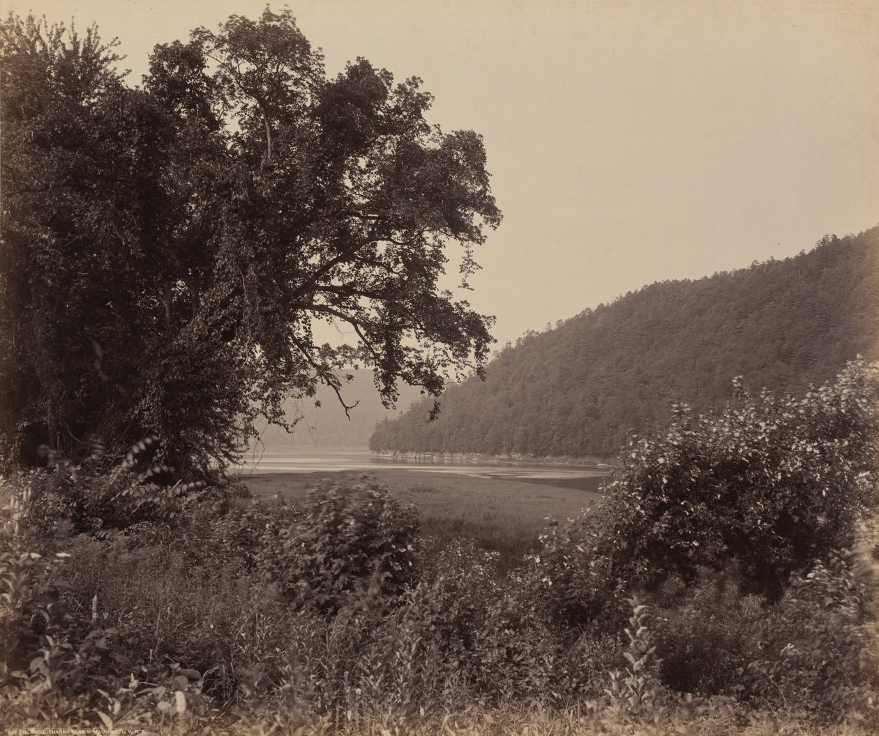 Susquehanna lähellä Wyalusingia tekijältä William H. Rau