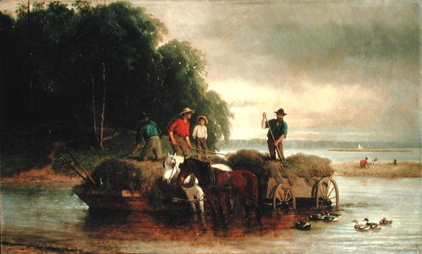 Gathering Sedge, Shrewsbury River, New Jersey tekijältä William Hahn