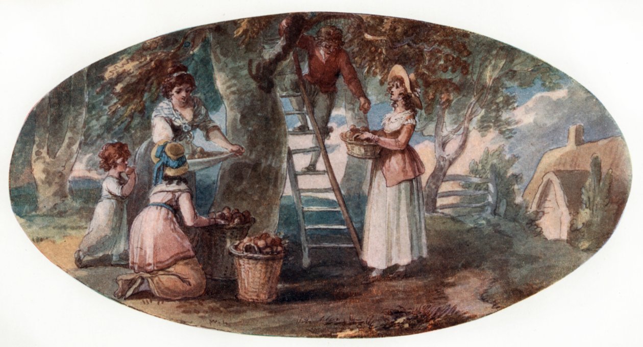 Hedelmien kerääminen, 1700-luvun loppu. tekijältä William Hamilton