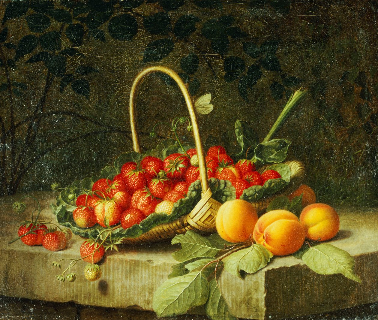 Mansikkakori persikoilla kivireunuksella, 1856 tekijältä William Hammer