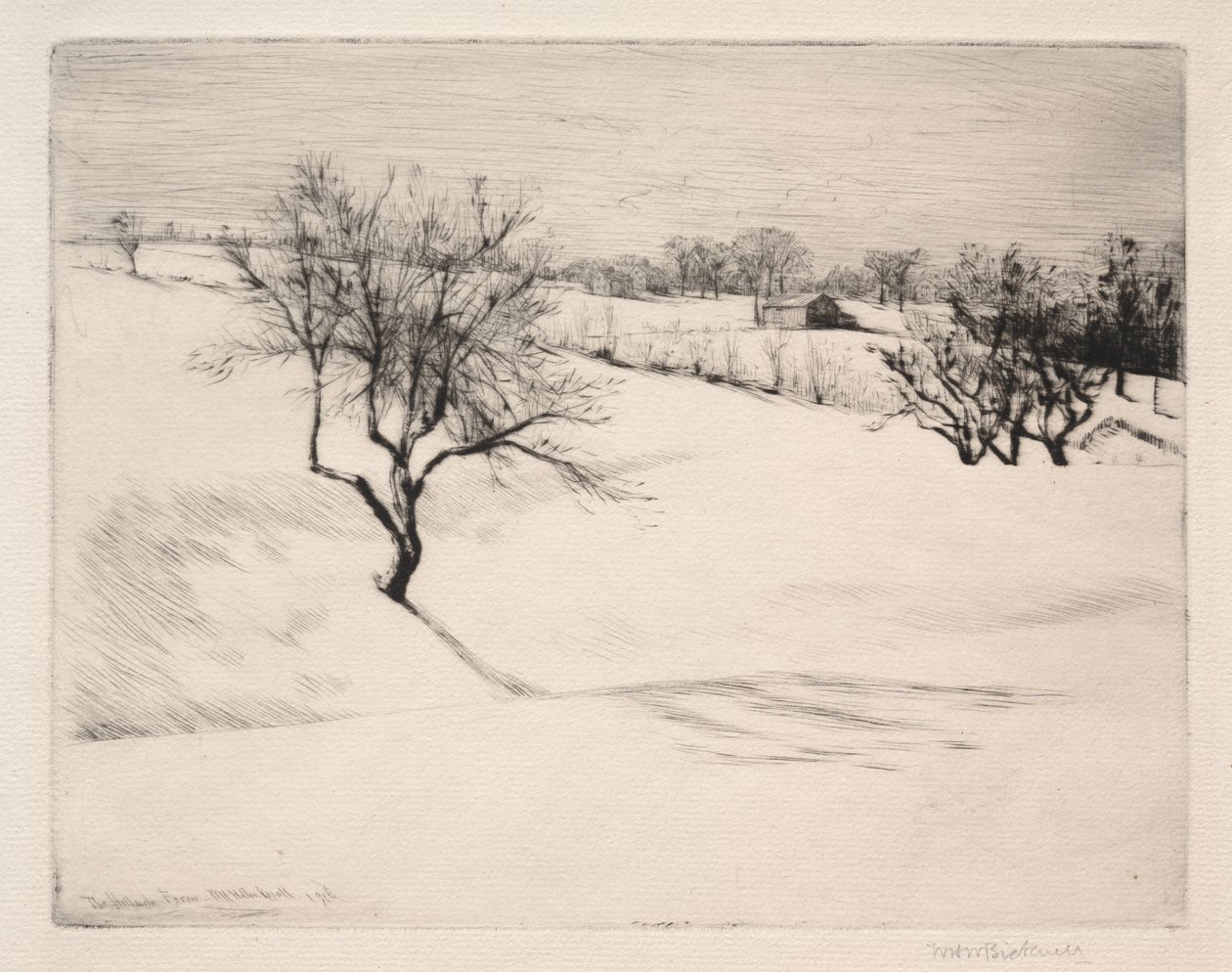 Hillside Farm tekijältä William Harry Warren Bicknell
