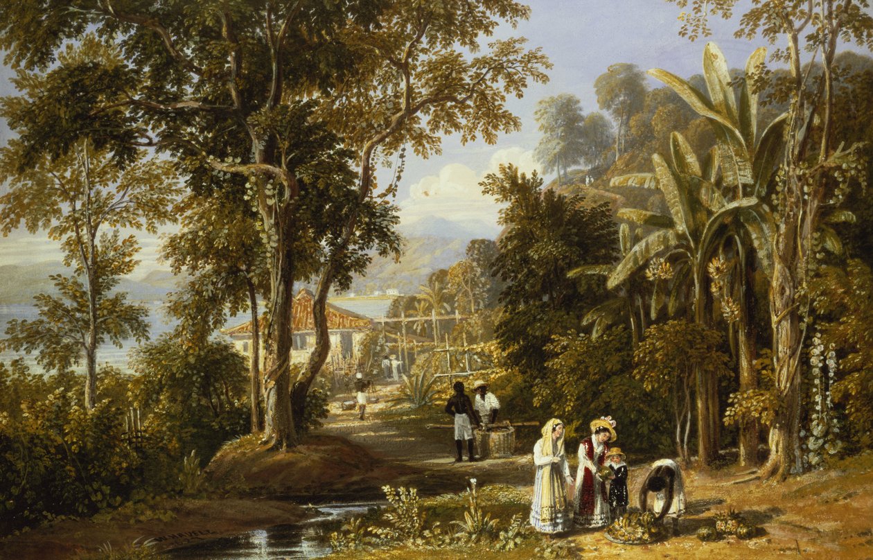 Puutarhakuva Braganzan rannalla, Rio de Janeiro, 1827. tekijältä William Havell