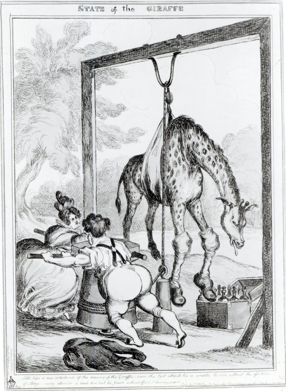 Kirahvin tila, 1829 tekijältä William Heath