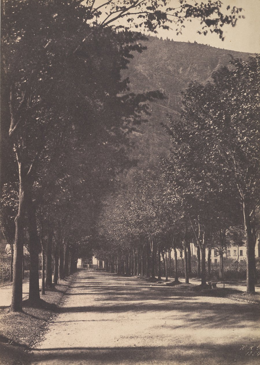 Puiden kuja, Pau, 1854. tekijältä William Henri Gebhard
