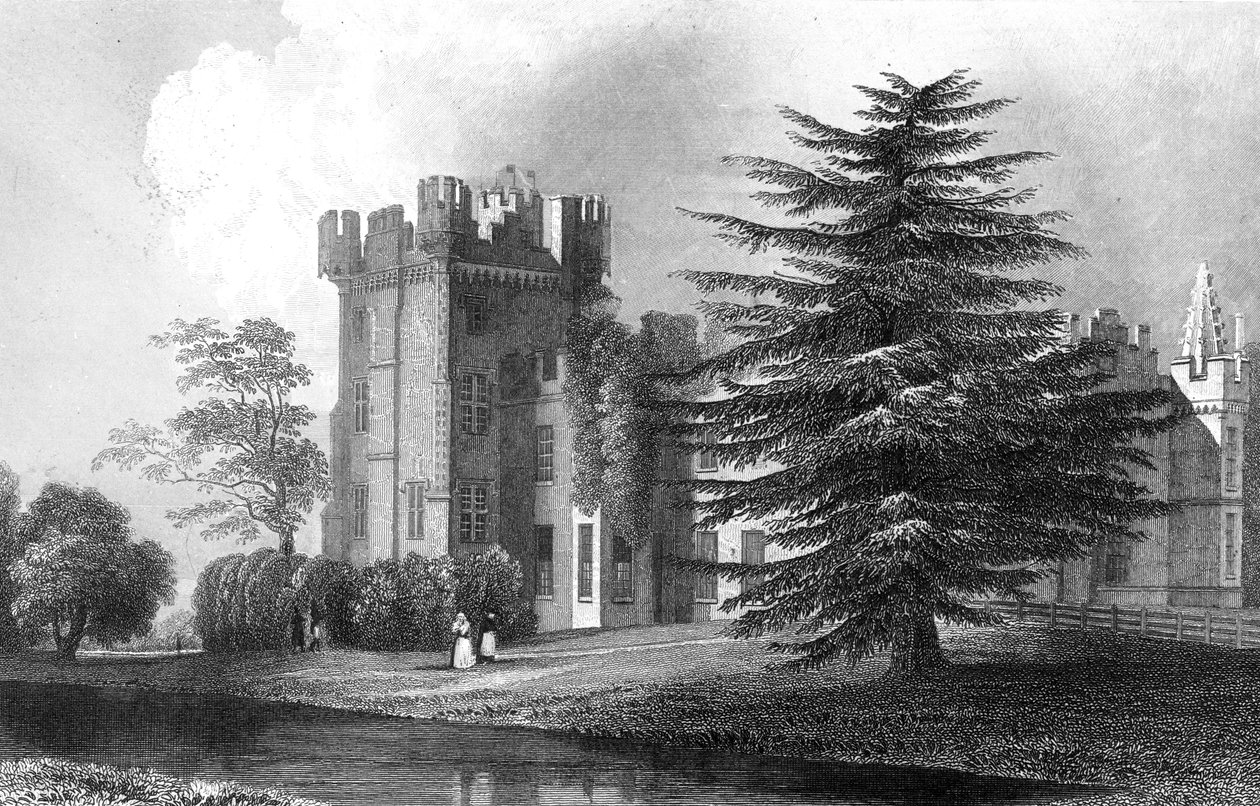 Faulkbourne Hall, lähellä Withamia, Essex, kaiverrus Henry Wallis, 1832 tekijältä William Henry Bartlett