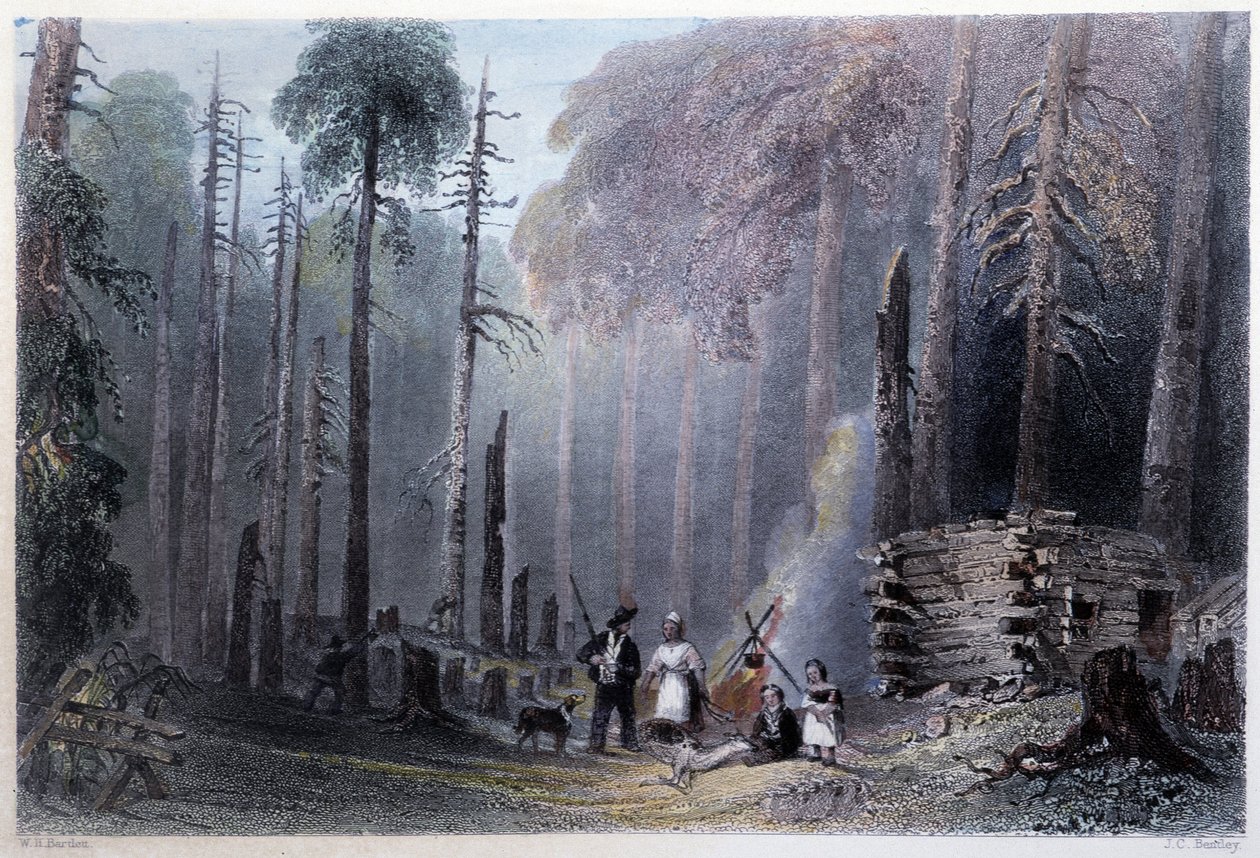 Ensimmäinen uudisasukkaiden asennus - "" Kanadan maisemassa kuvittamassa" W.H. Bartlett, Lontoo tekijältä William Henry Bartlett