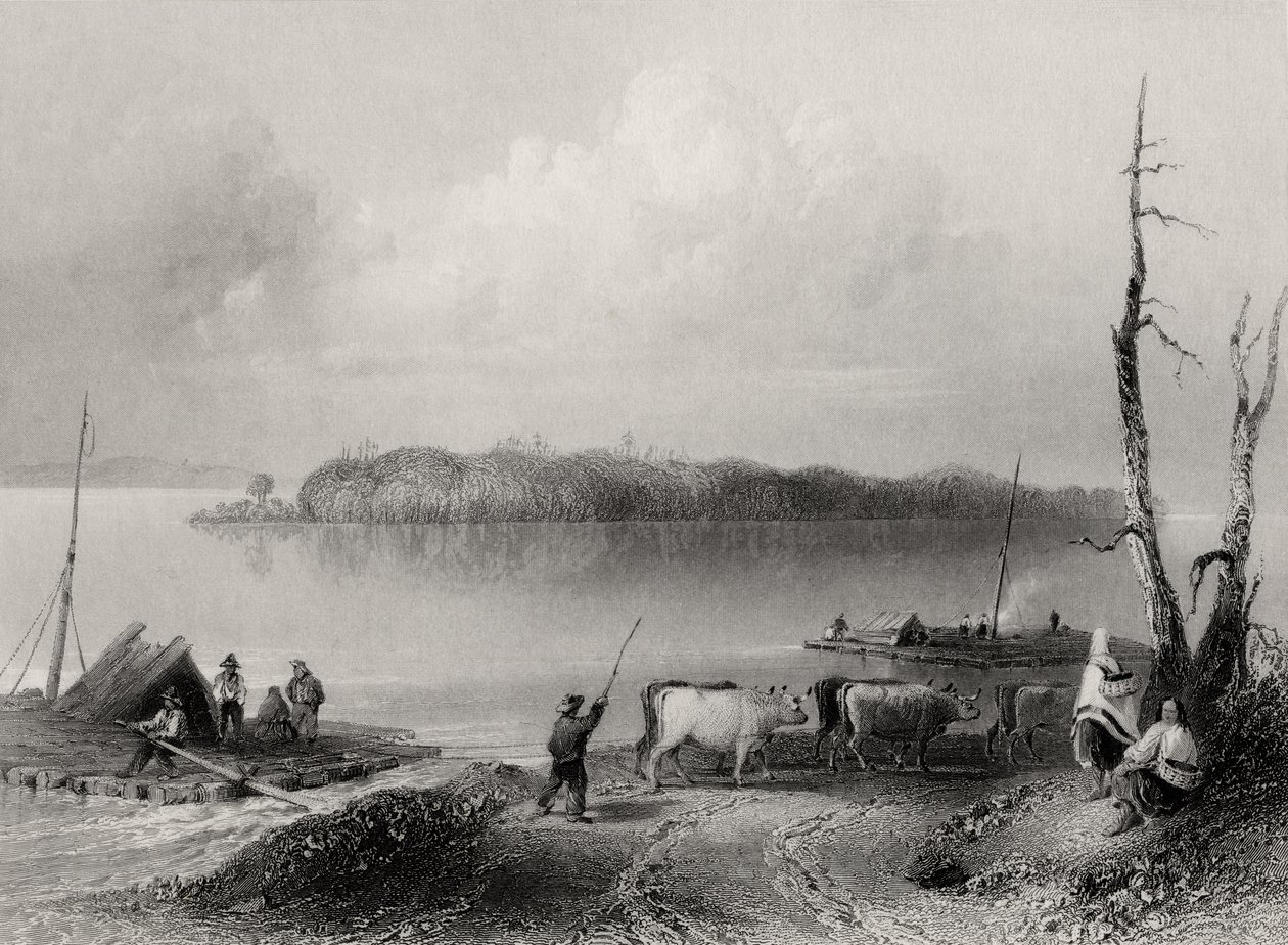Navy Island, Niagara River, Ontario, Kanada, kaiverrus Charles Coulson (1815-89) tekijältä William Henry Bartlett