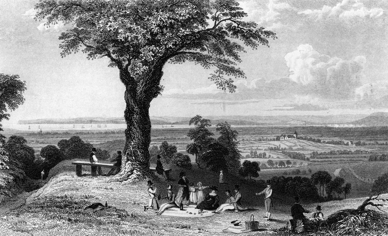 Kohtaus Laindon Hillistä lähellä Horndonia Essexissä, kaiverrus Henry Wallis, 1832 tekijältä William Henry Bartlett