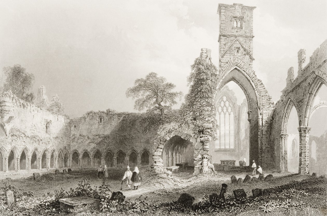 Sligo Abbey, Sligon kreivikunta, Irlanti, George Virtuen teoksesta "Scenery and Antiquities of Ireland", 1860-luku (kaiverrus) tekijältä William Henry Bartlett