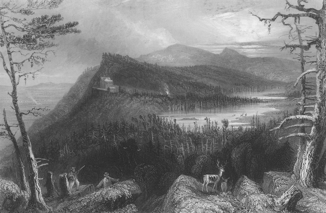 The Two Lakes and the Mountain House on Catskills, 1838 tekijältä William Henry Bartlett