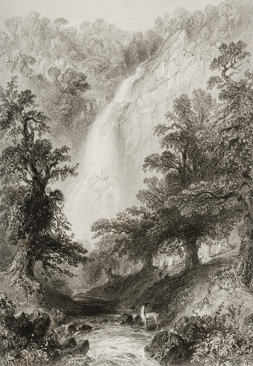 Waterfall, Powerscourt, Wicklow