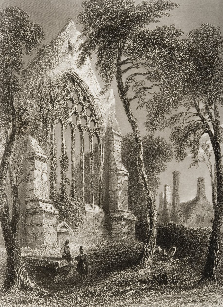 Youghal Abbey, Corkin kreivikunta, Irlanti, George Virtuen teoksesta "Scenery and Antiquities of Ireland", 1860-luku tekijältä William Henry Bartlett