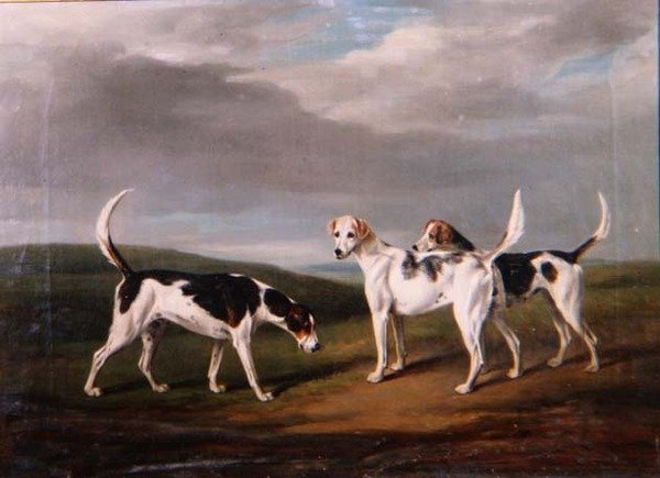 Foxhounds maisemassa tekijältä William Henry Davis