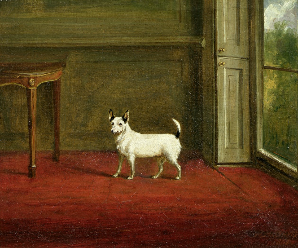 Jack Russell -terrierin muotokuva (Regency-sisustuksessa) 1814 tekijältä William Henry Davis