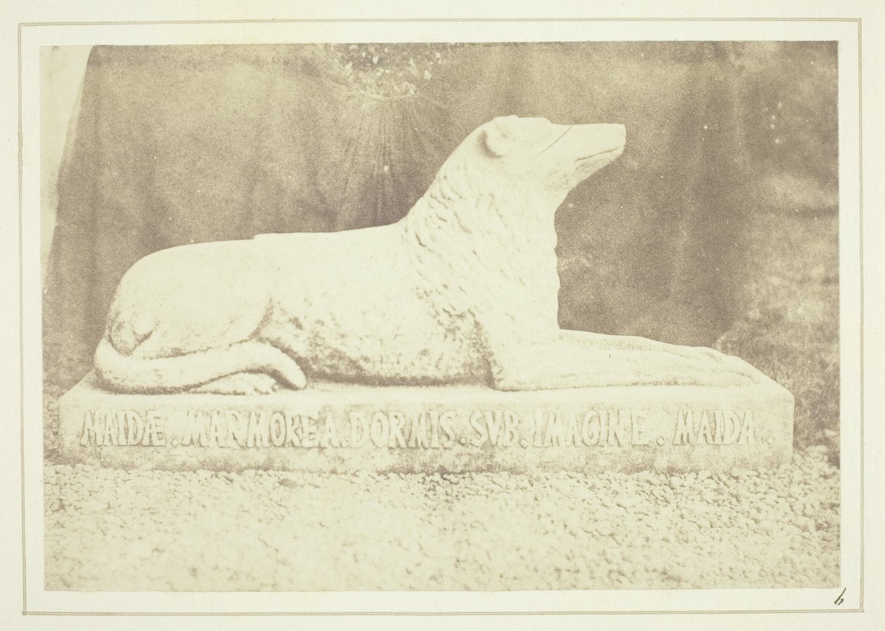 Sir W. Scottin lempikoiran Maidan kuva Abbotsfordin salin oven vieressä. tekijältä William Henry Fox Talbot