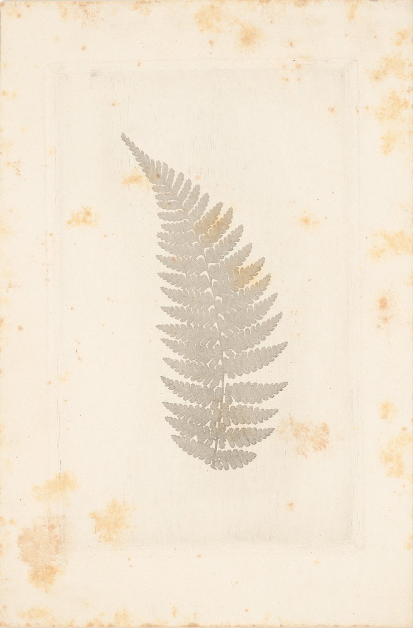 [Far] tekijältä William Henry Fox Talbot