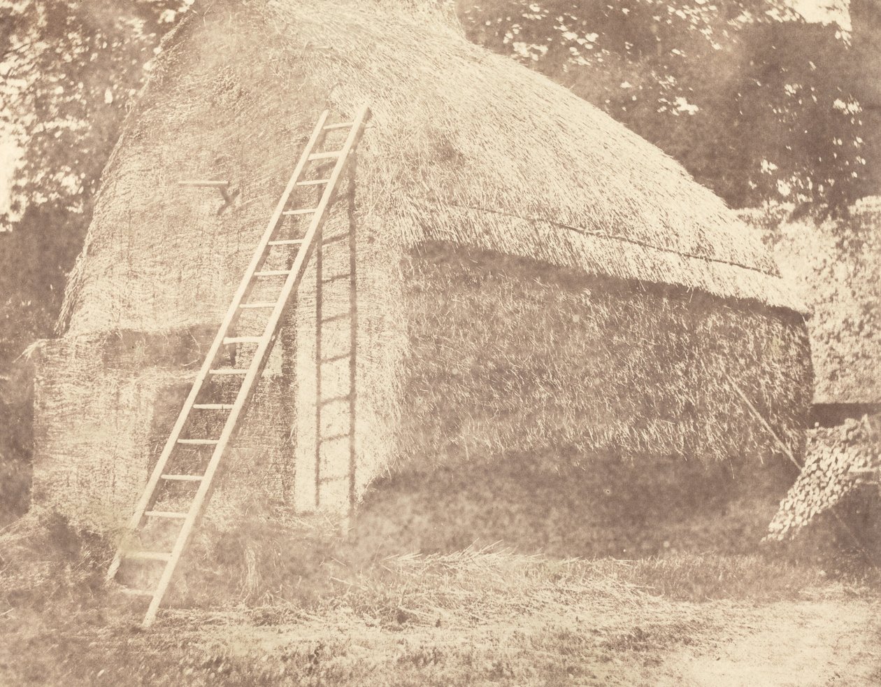 Heinäsuovasta tekijältä William Henry Fox Talbot