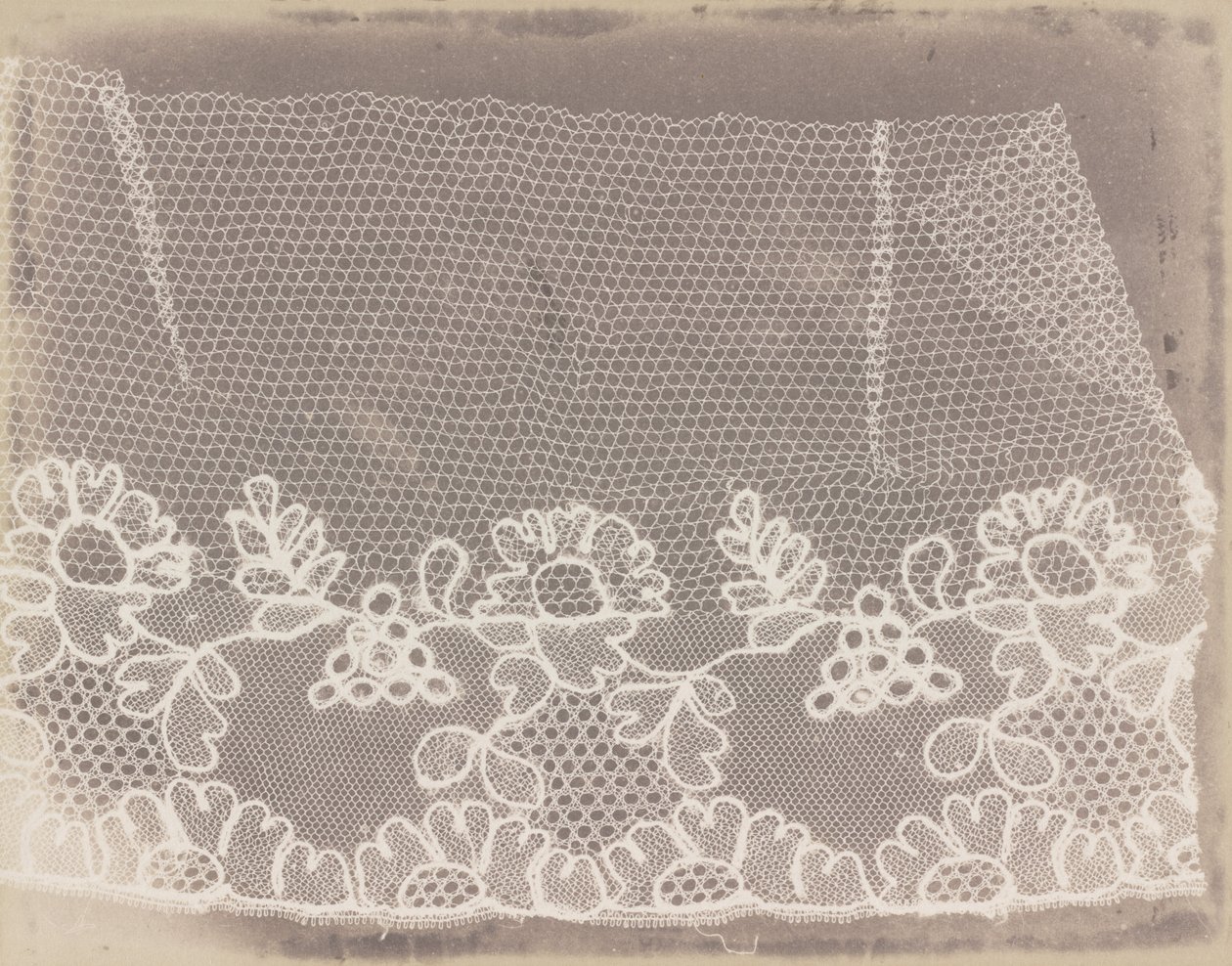 Pitsi tekijältä William Henry Fox Talbot