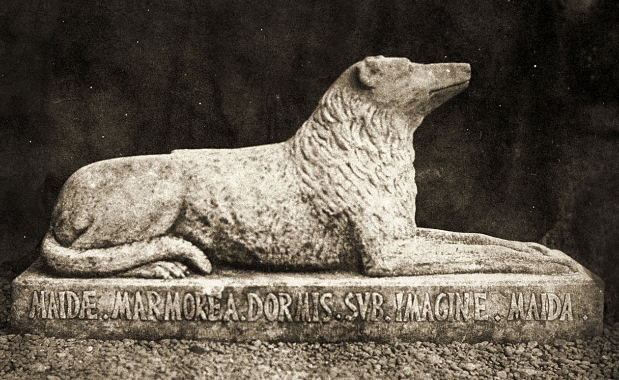 Maidan patsas, jonka kerrotaan olevan Sir Walter Scottin suosikkikoira. (seepiakuva) tekijältä William Henry Fox Talbot
