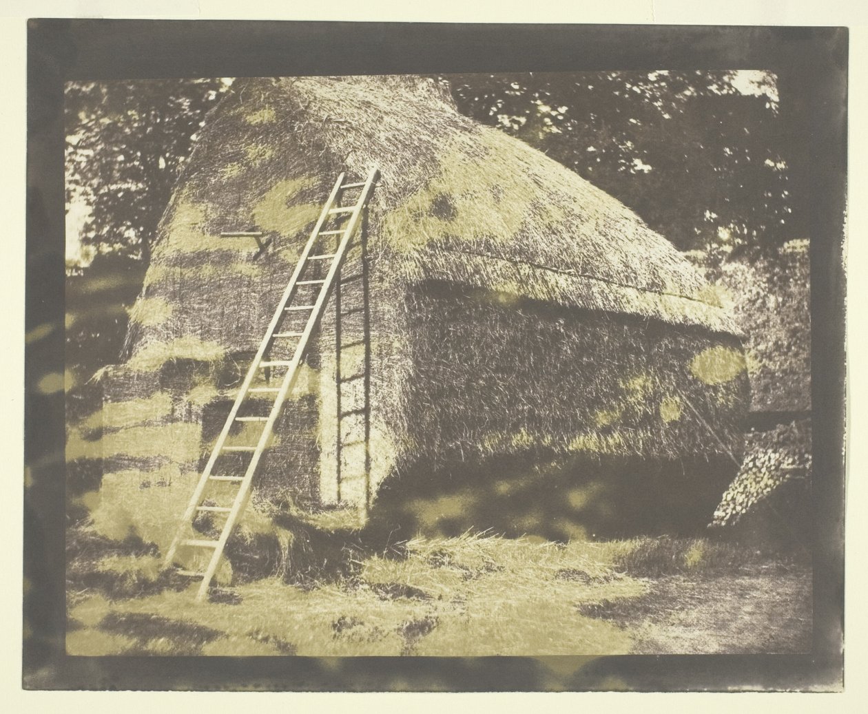 Heinäsuovasta tekijältä William Henry Fox Talbot