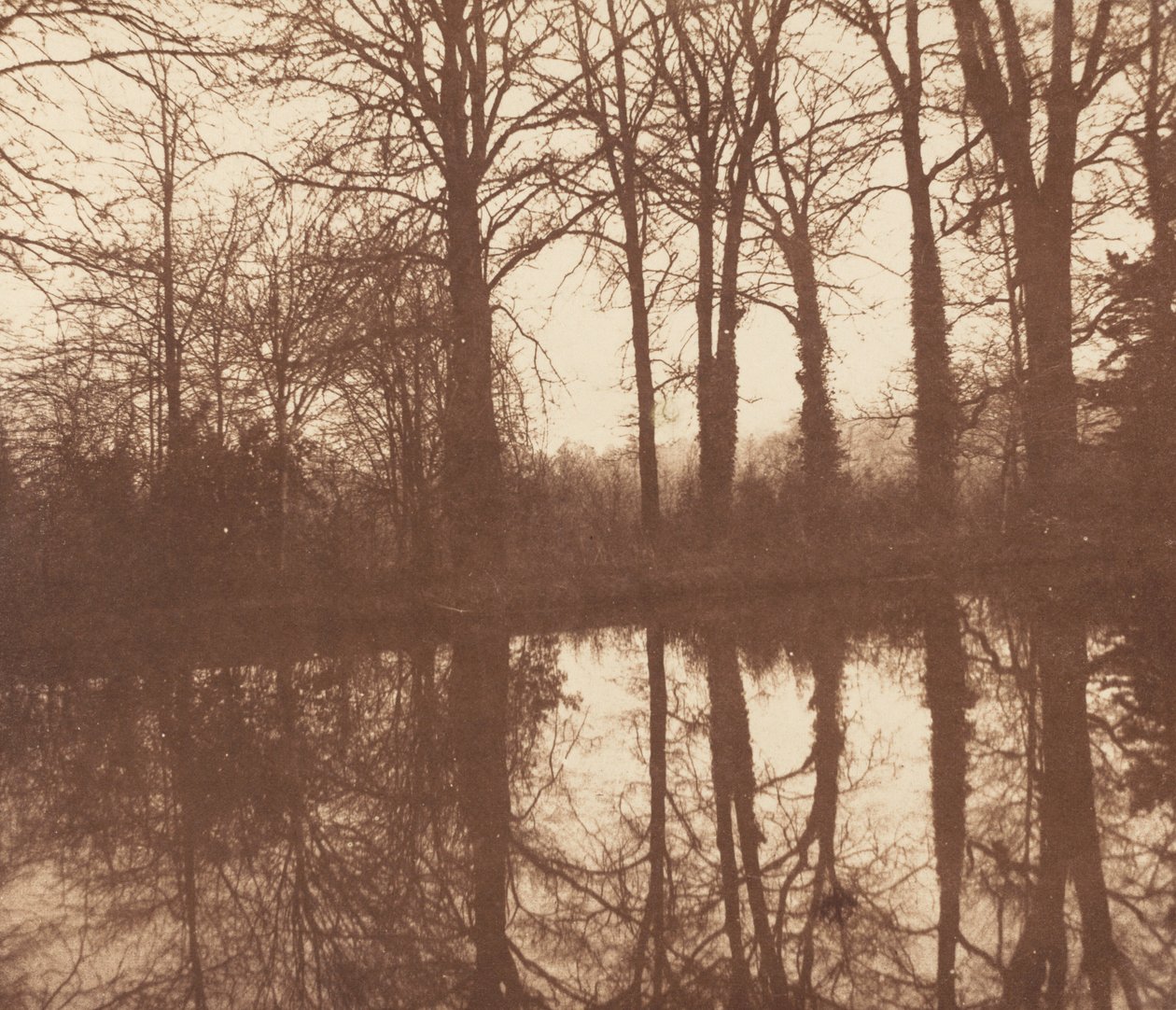 Talviset puut, heijastettuna lampeen,1841-1842 (kuva) tekijältä William Henry Fox Talbot