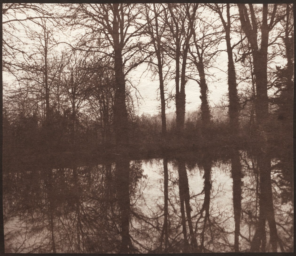 Talvipuut heijastuivat lammikossa, 1841-42. tekijältä William Henry Fox Talbot