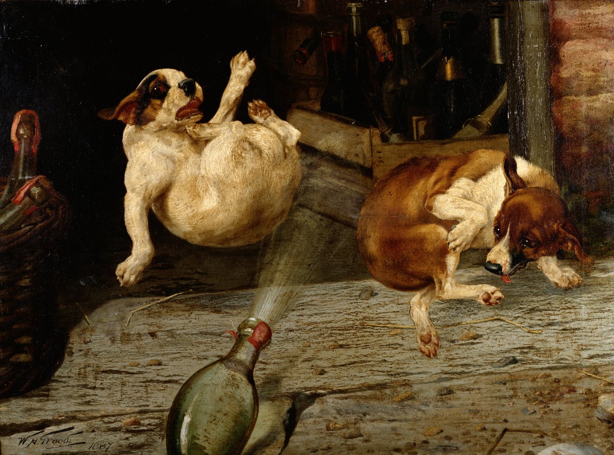 Yllättävä tulos, 1887 (yksi parista) tekijältä William Henry Hamilton Trood
